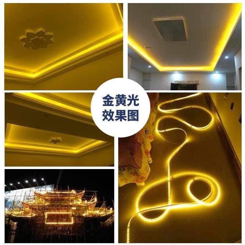 100metre et 9prise Bande lumineuse LED 100 m, lumière dorée super brillante, variable, pour plafond de salon, extérieur, étanche, 220 V